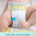 Pañales Pampers Premium Care Rn 36 Un Rn Sin Género