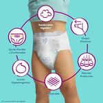 Pañal Pampers Premium Care XXXXG 52 Uds